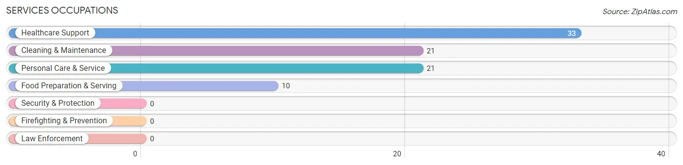 Services Occupations in Lake Benton