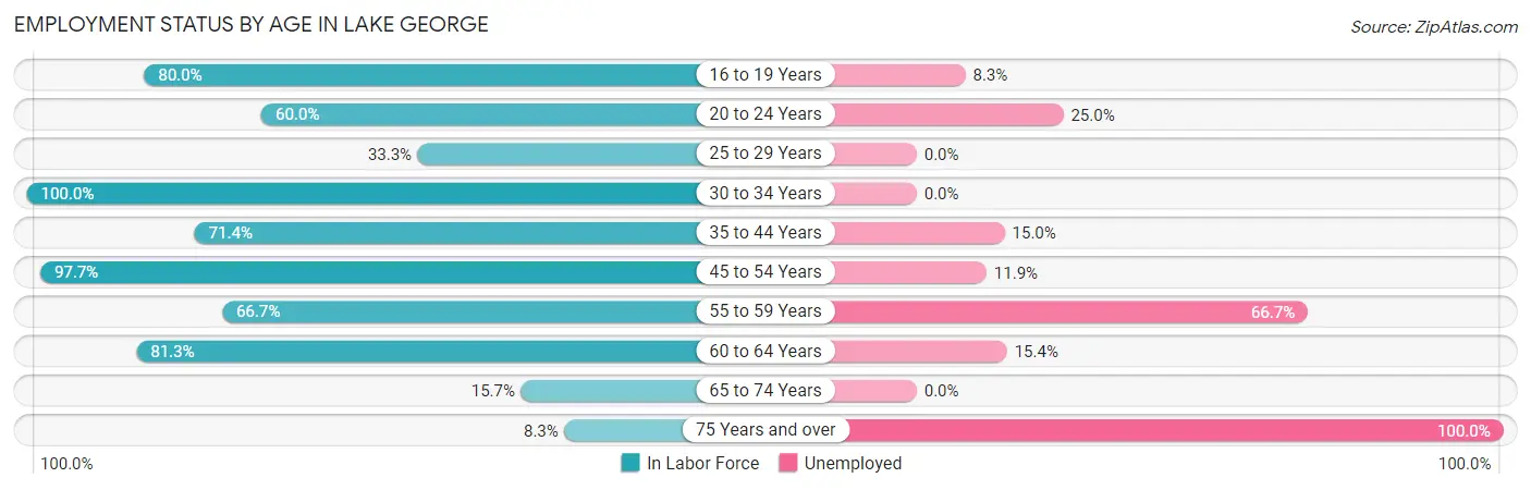 Employment Status by Age in Lake George
