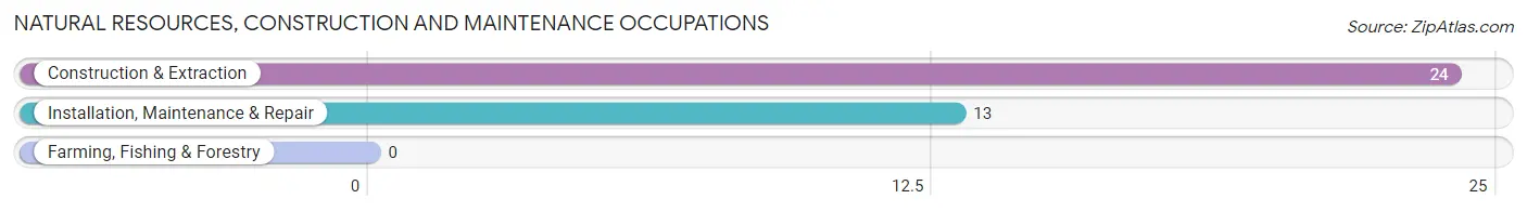 Natural Resources, Construction and Maintenance Occupations in Lake Park