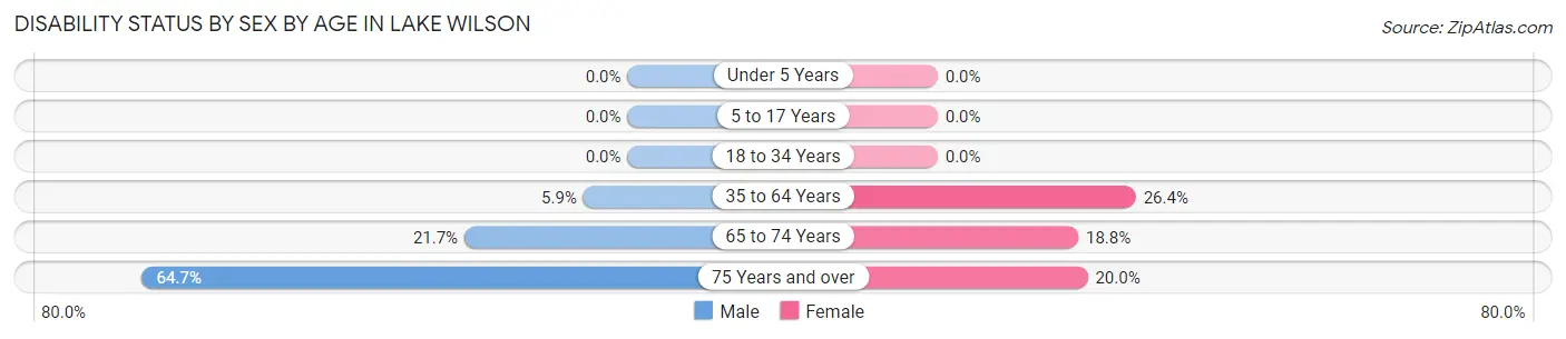Disability Status by Sex by Age in Lake Wilson