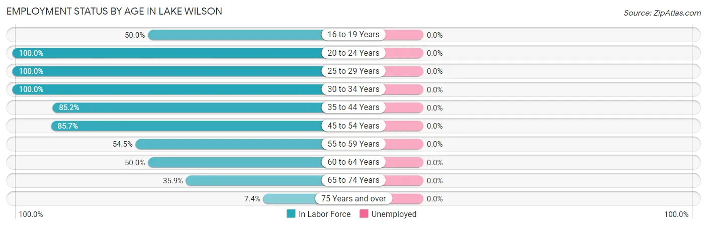 Employment Status by Age in Lake Wilson