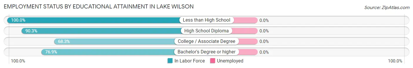 Employment Status by Educational Attainment in Lake Wilson