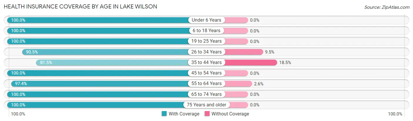 Health Insurance Coverage by Age in Lake Wilson