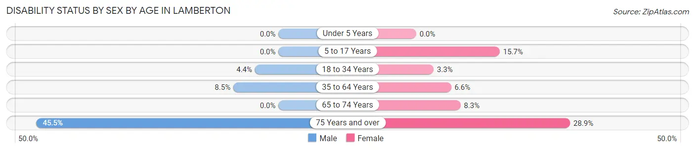 Disability Status by Sex by Age in Lamberton