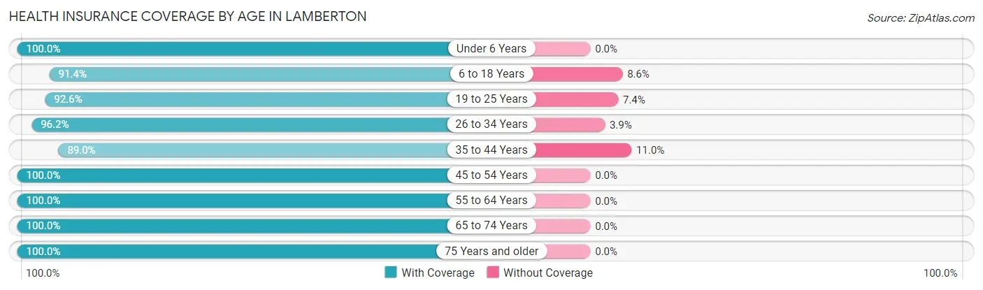 Health Insurance Coverage by Age in Lamberton