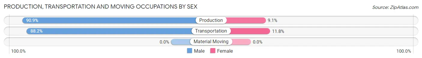 Production, Transportation and Moving Occupations by Sex in Lanesboro