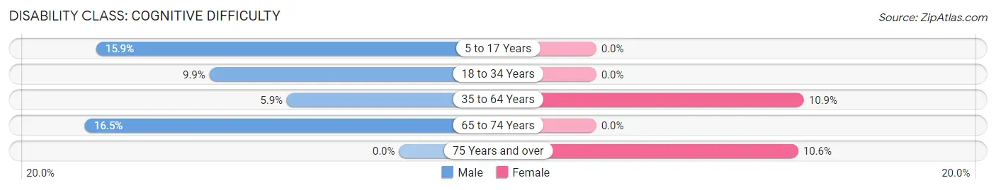 Disability in Le Sueur: <span>Cognitive Difficulty</span>