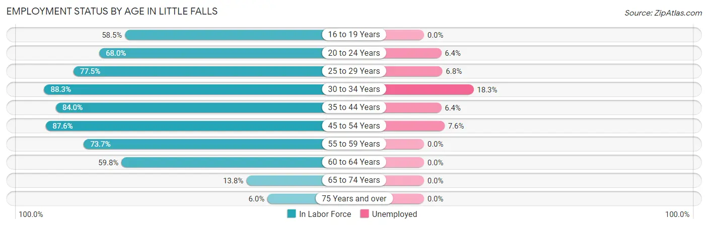 Employment Status by Age in Little Falls