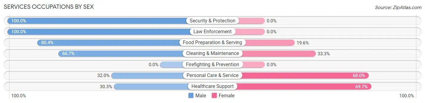 Services Occupations by Sex in Long Lake