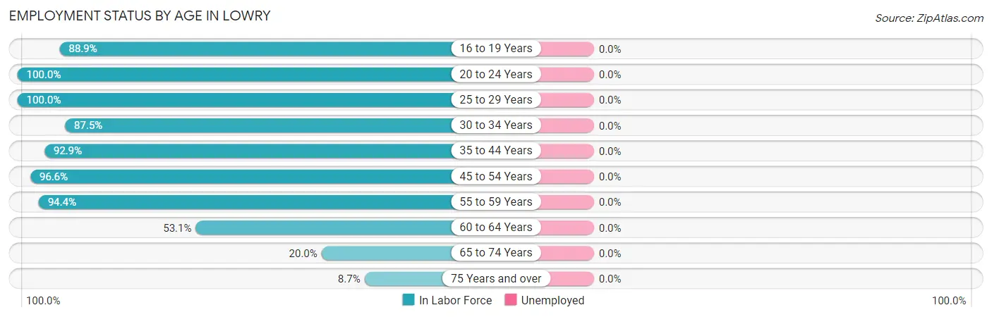 Employment Status by Age in Lowry