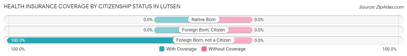 Health Insurance Coverage by Citizenship Status in Lutsen
