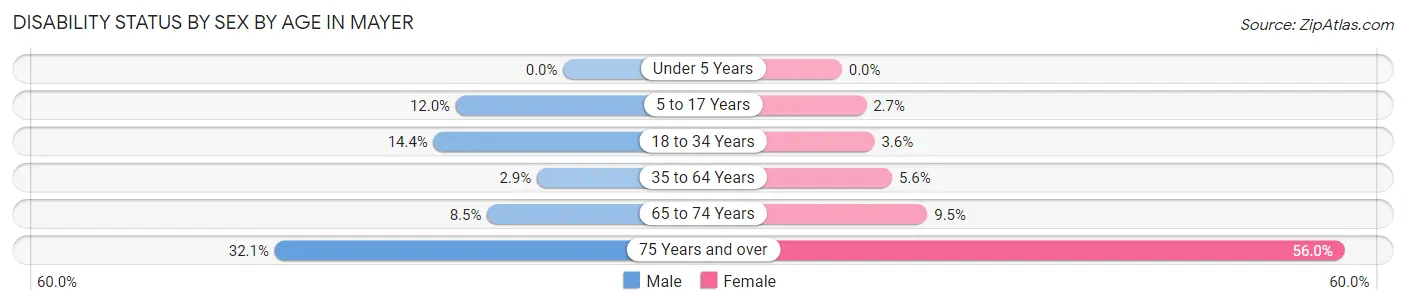 Disability Status by Sex by Age in Mayer