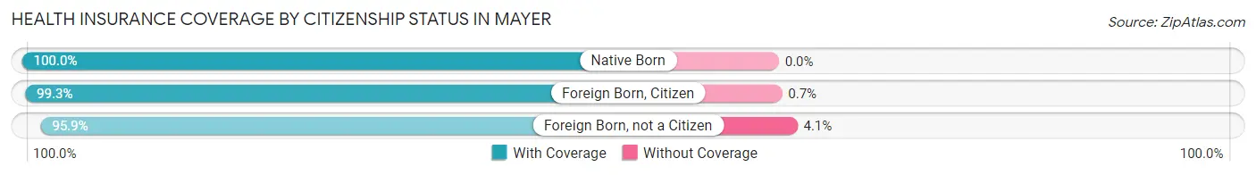 Health Insurance Coverage by Citizenship Status in Mayer
