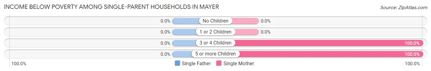Income Below Poverty Among Single-Parent Households in Mayer