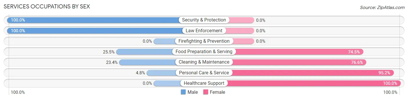Services Occupations by Sex in Mayer