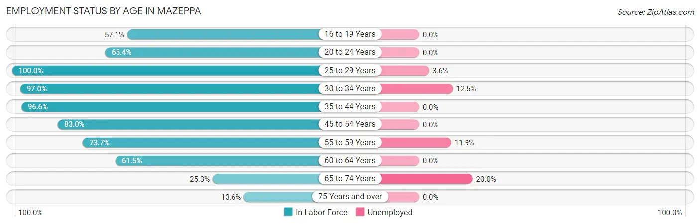 Employment Status by Age in Mazeppa
