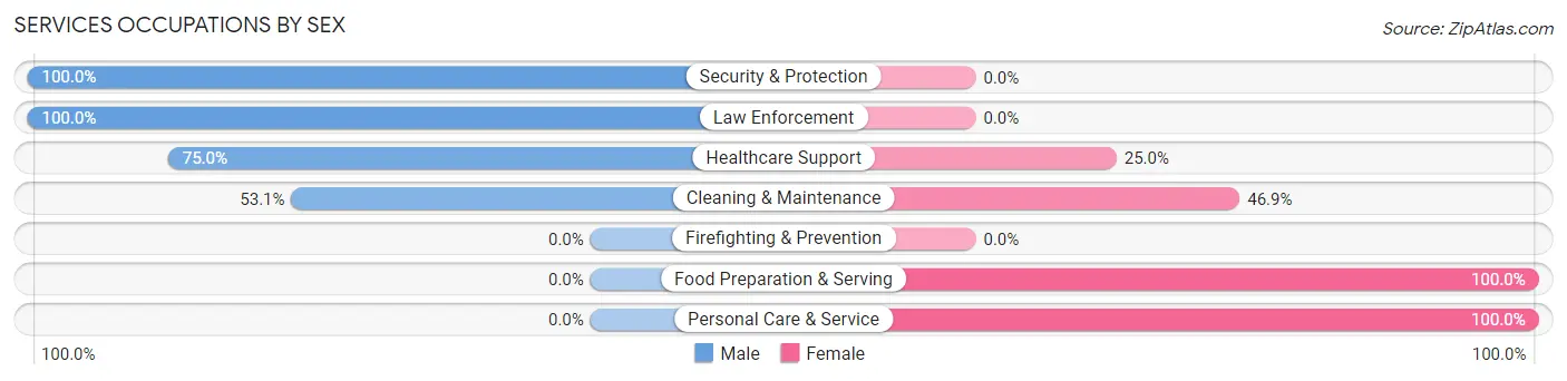 Services Occupations by Sex in Mazeppa