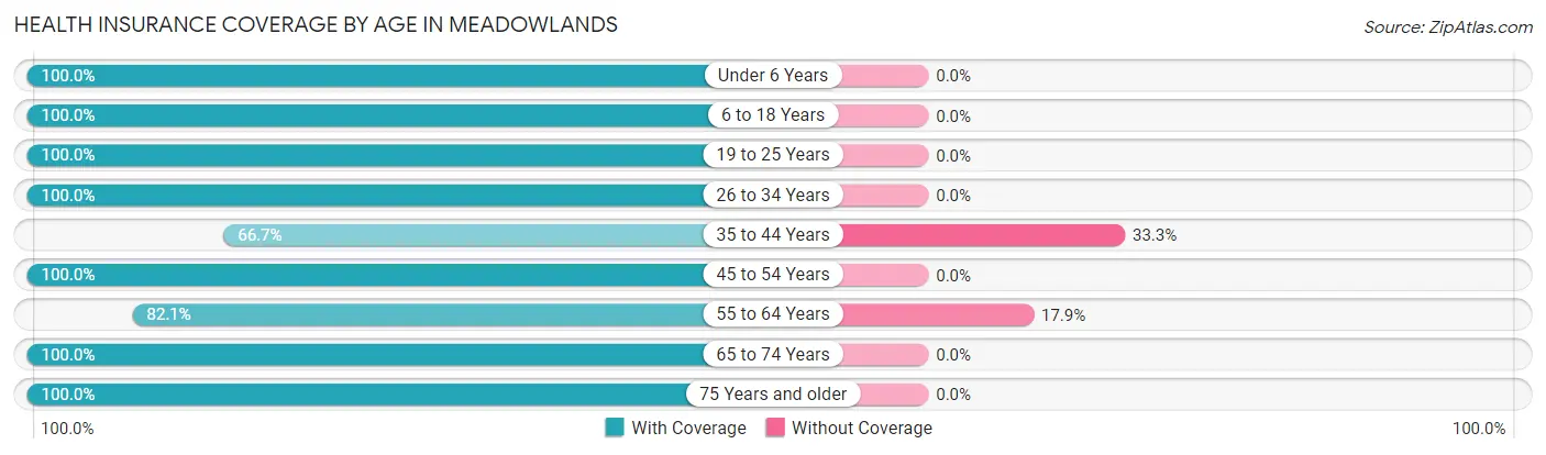 Health Insurance Coverage by Age in Meadowlands