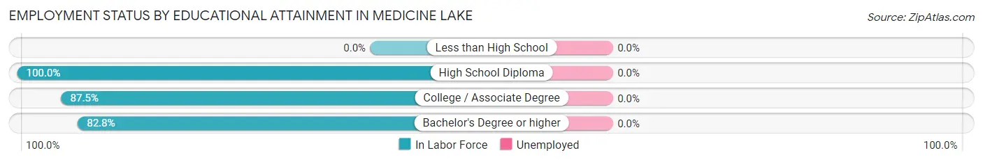 Employment Status by Educational Attainment in Medicine Lake