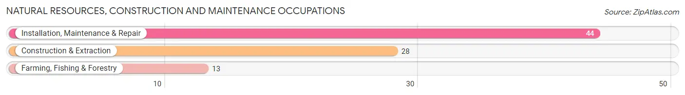 Natural Resources, Construction and Maintenance Occupations in Minneota