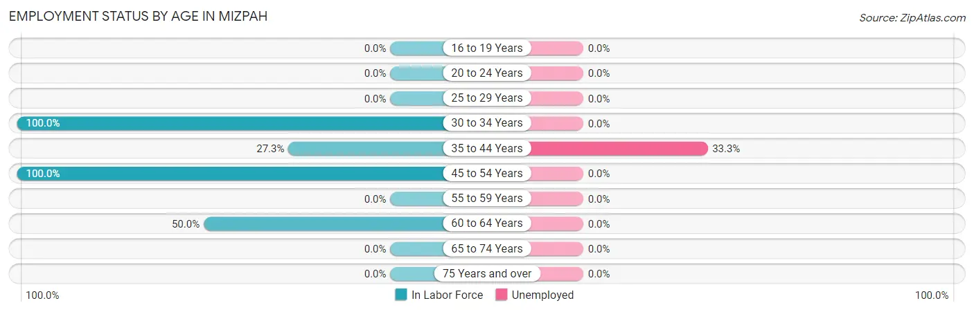 Employment Status by Age in Mizpah