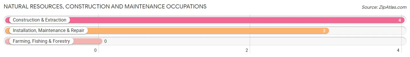 Natural Resources, Construction and Maintenance Occupations in Mizpah