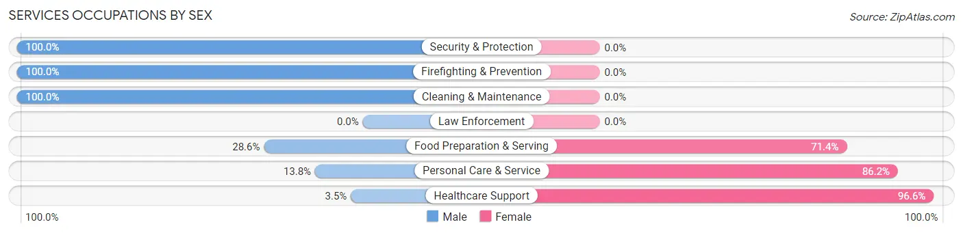Services Occupations by Sex in Morgan