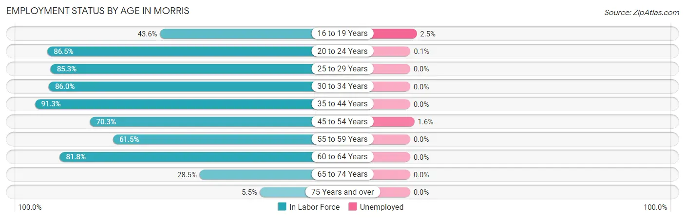 Employment Status by Age in Morris