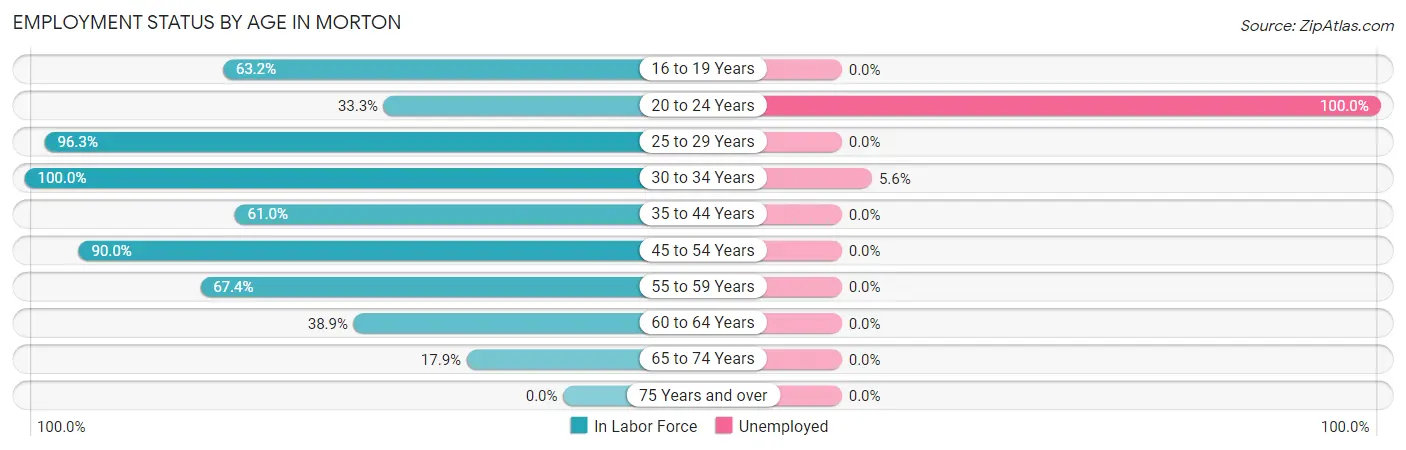 Employment Status by Age in Morton