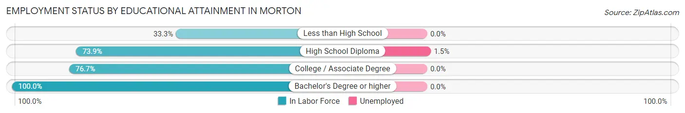 Employment Status by Educational Attainment in Morton