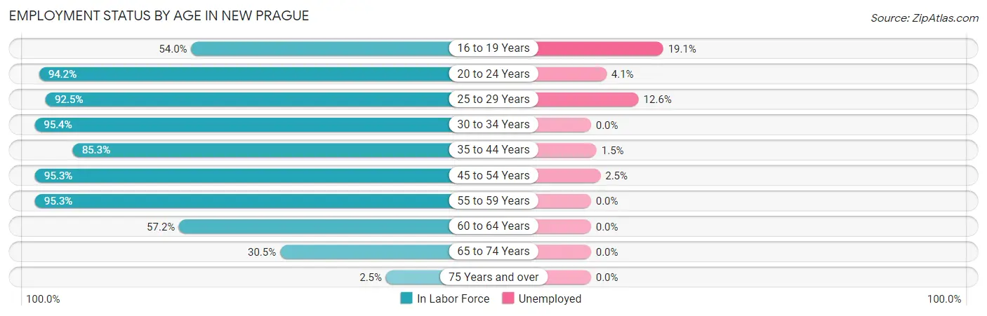 Employment Status by Age in New Prague