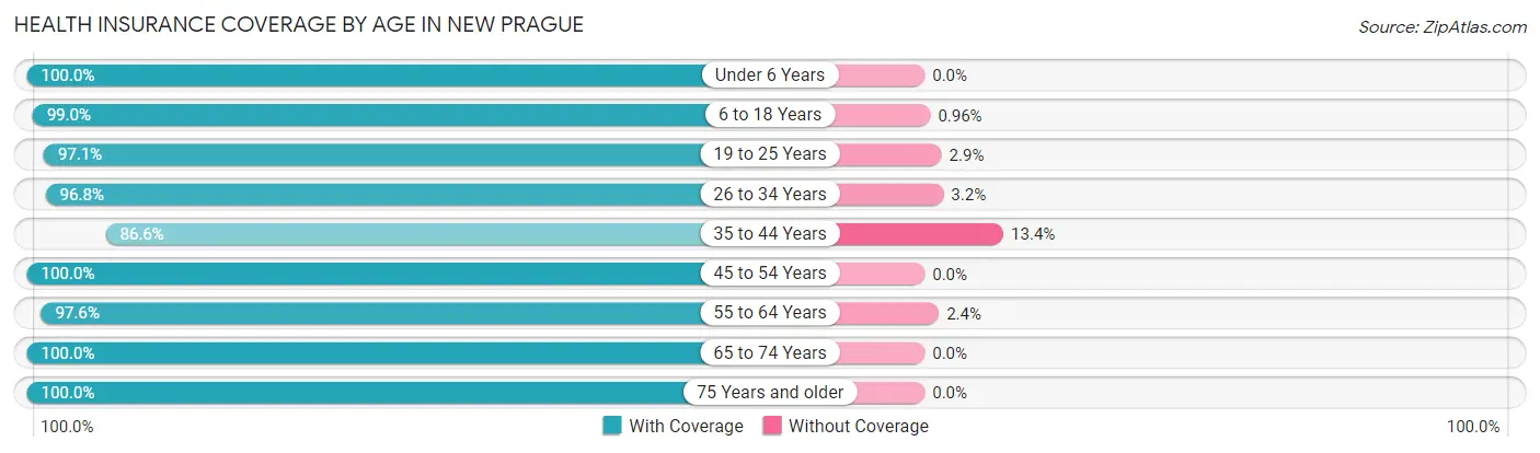 Health Insurance Coverage by Age in New Prague