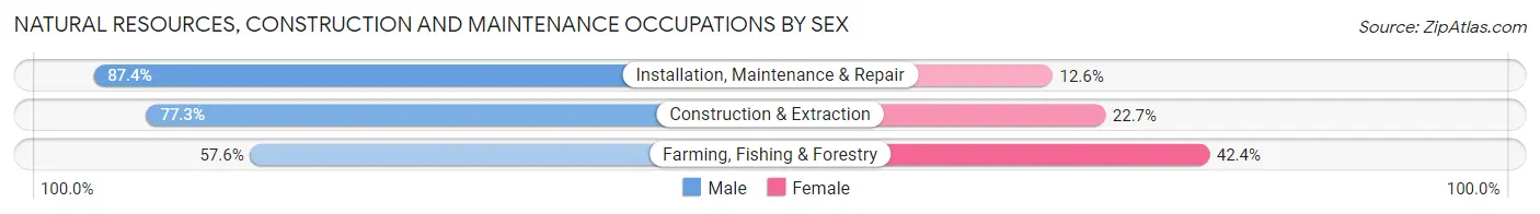 Natural Resources, Construction and Maintenance Occupations by Sex in New Prague
