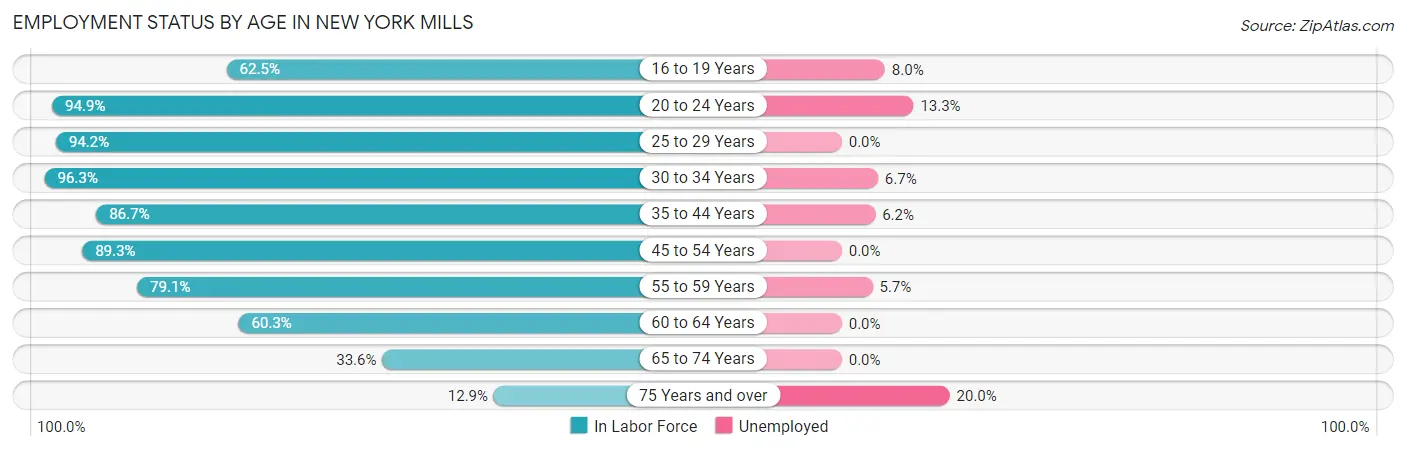 Employment Status by Age in New York Mills
