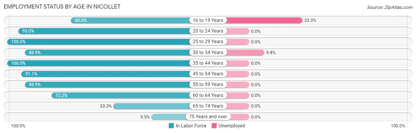 Employment Status by Age in Nicollet