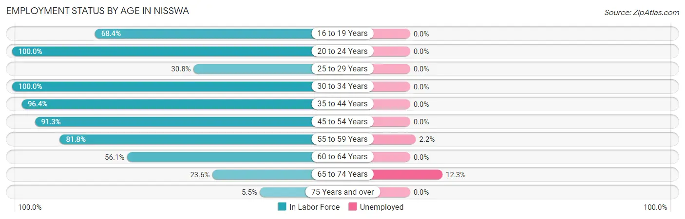 Employment Status by Age in Nisswa
