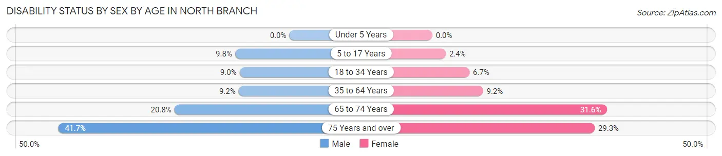 Disability Status by Sex by Age in North Branch