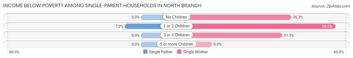 Income Below Poverty Among Single-Parent Households in North Branch