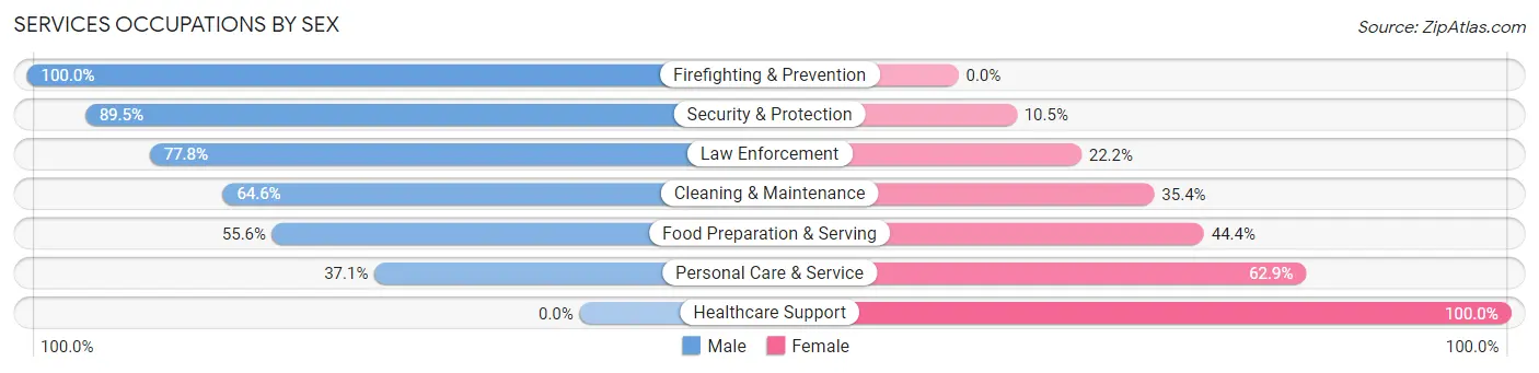 Services Occupations by Sex in North Branch