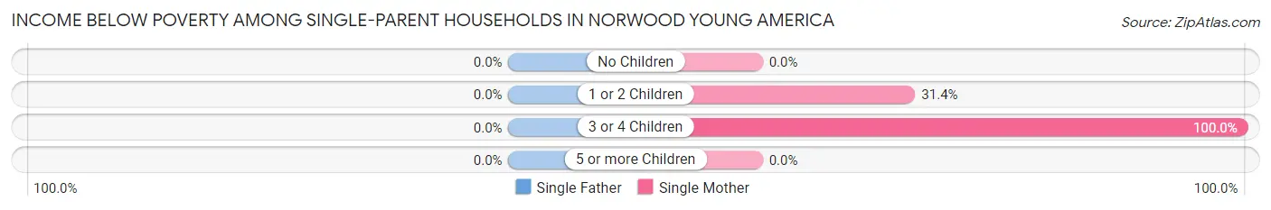 Income Below Poverty Among Single-Parent Households in Norwood Young America