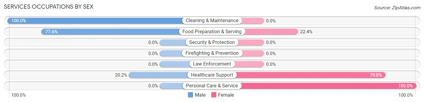 Services Occupations by Sex in Norwood Young America