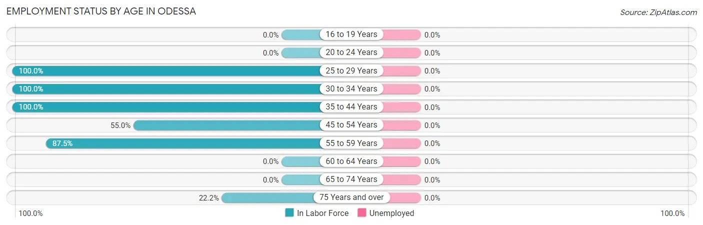 Employment Status by Age in Odessa