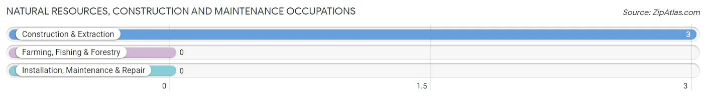 Natural Resources, Construction and Maintenance Occupations in Odessa