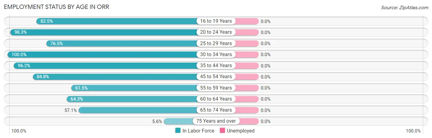 Employment Status by Age in Orr