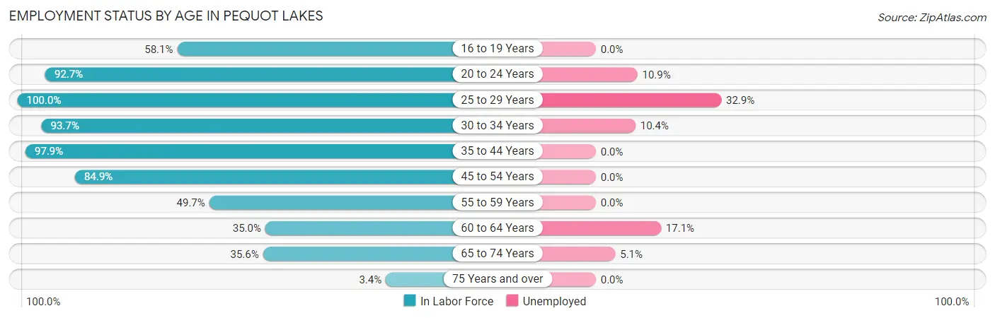Employment Status by Age in Pequot Lakes