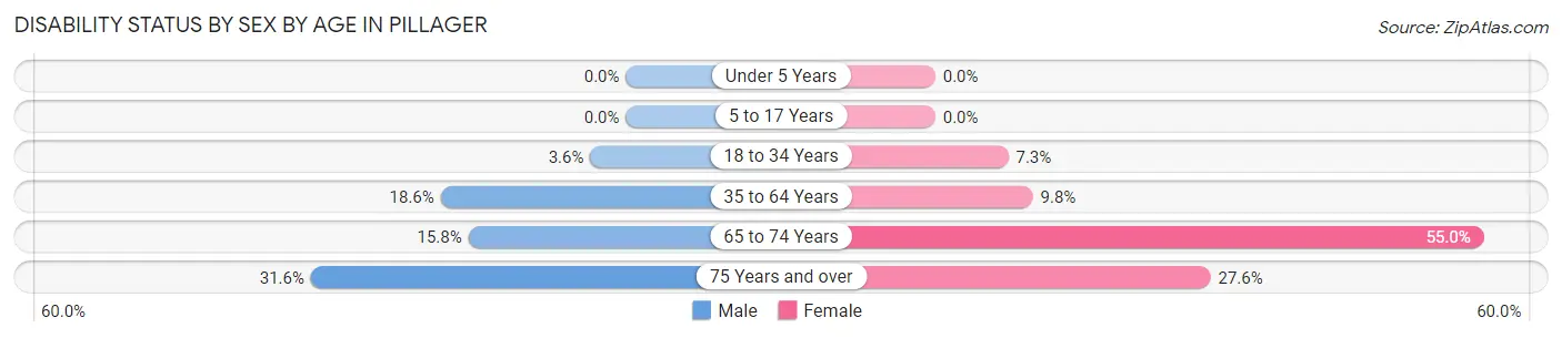 Disability Status by Sex by Age in Pillager