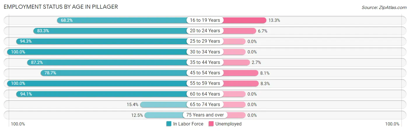 Employment Status by Age in Pillager