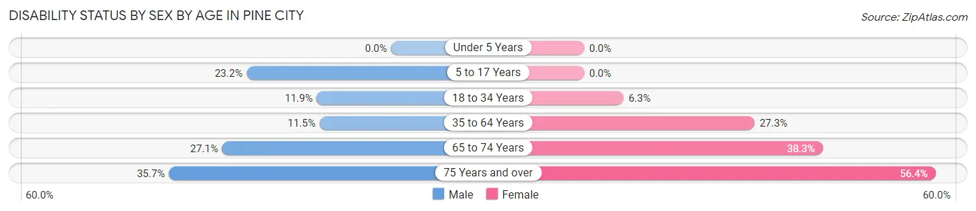 Disability Status by Sex by Age in Pine City