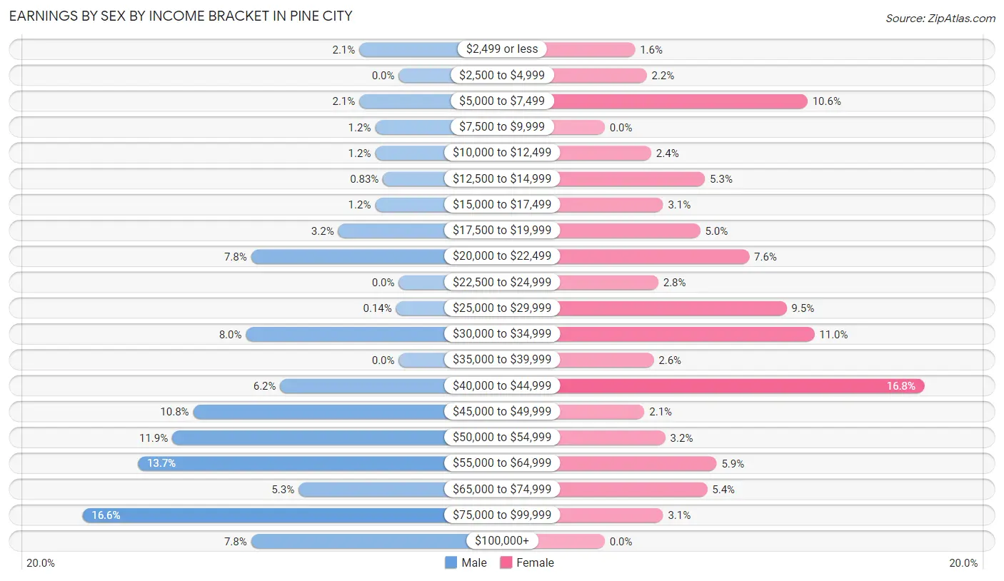Earnings by Sex by Income Bracket in Pine City