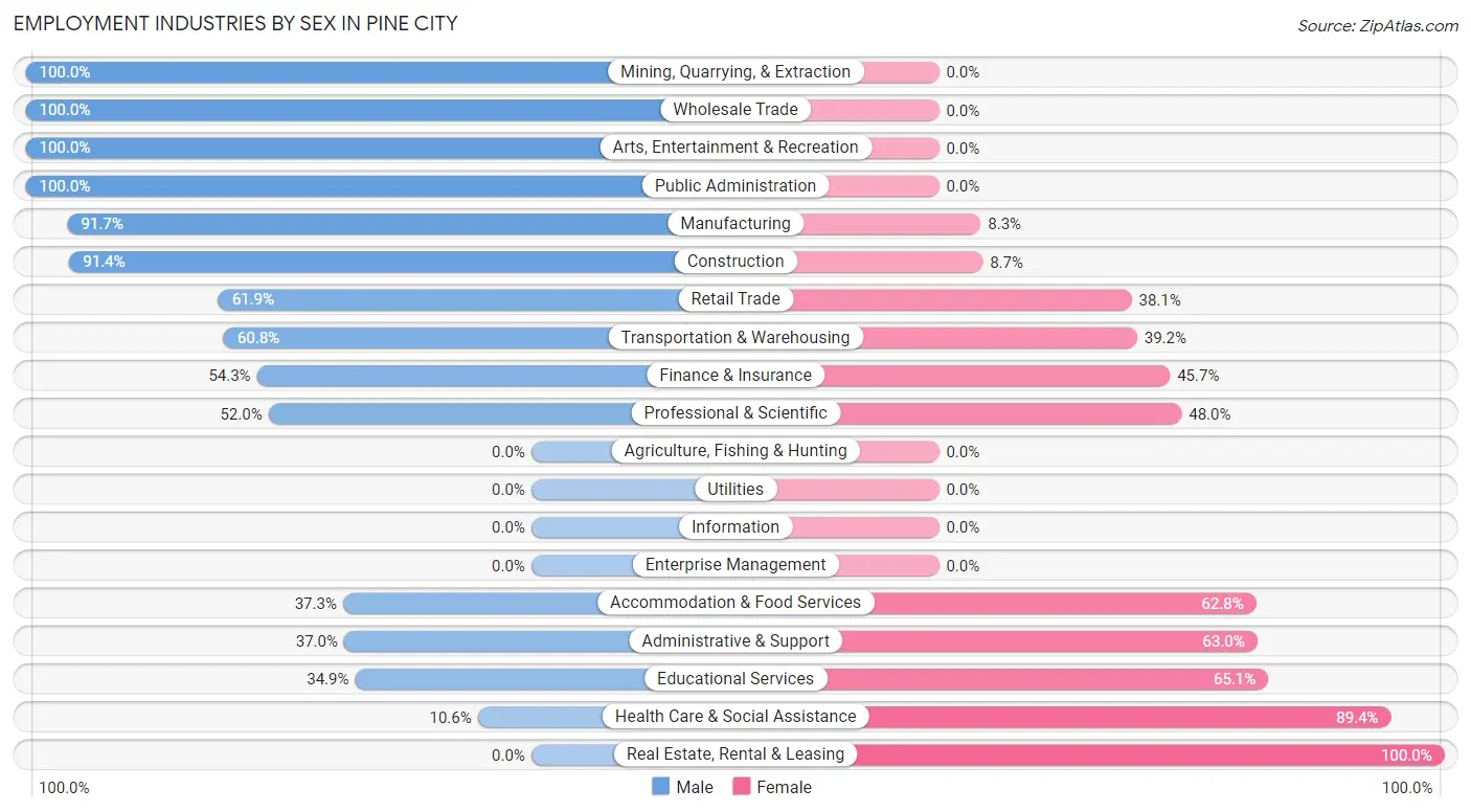 Employment Industries by Sex in Pine City